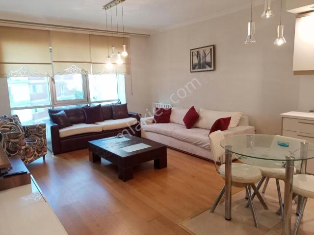 Beylikdüzü, İstanbul içerisinde kiralık mülk