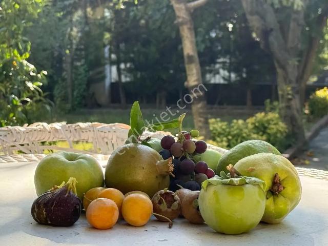 Beylikdüzü, İstanbul içerisinde satılık Villa