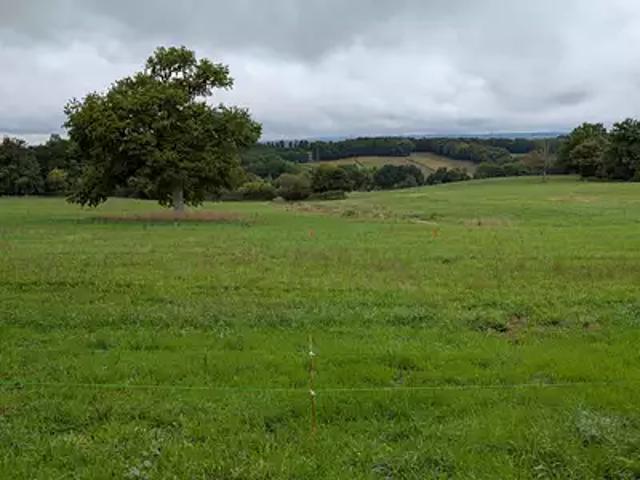 Terrain vente à Limoges, Beynac