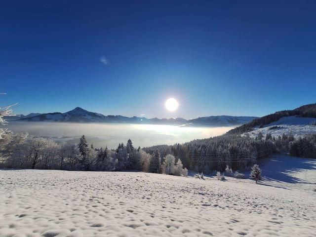 Immobilie kaufen in Reith bei Kitzbühel, Bezirk Kitzbühel