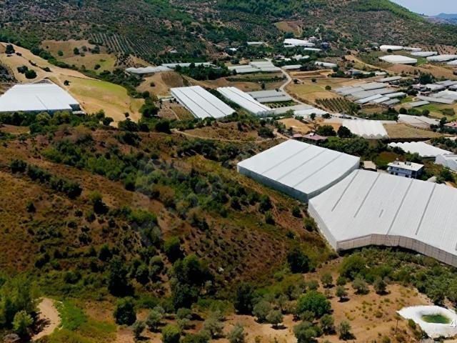 Salman, Gazipaşa içerisinde satılık mülk