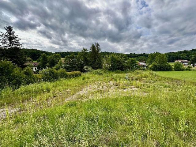 Erdgeschosswohnung kaufen in Waging am See, Landkreis Traunstein