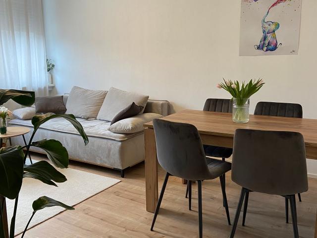 Apartment mieten in Mainz, Rheinland-Pfalz