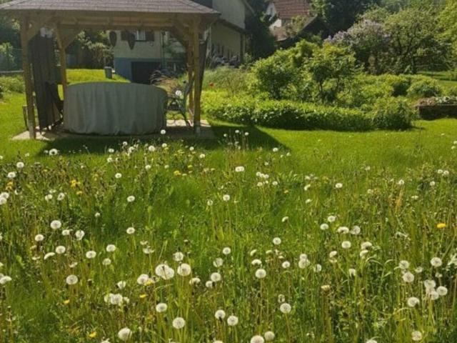 Haus kaufen in Steiermark
