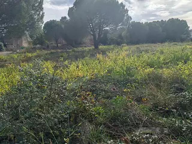 Terrain vente à Béziers