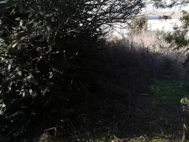 Terrain vente à Béziers