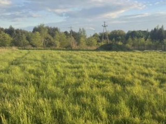 Grunt na sprzedaż w Alwernia, Małopolskie