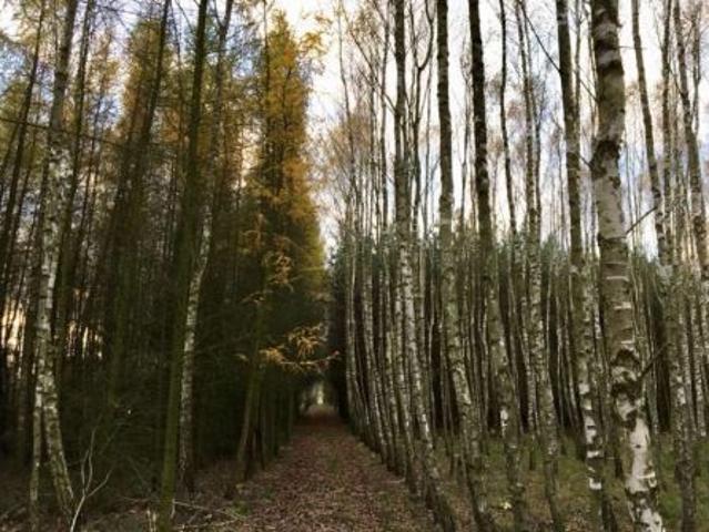 Grunt na sprzedaż w Annopol, Lubelskie