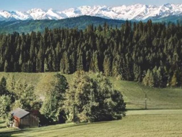 Grunt na sprzedaż w Łapsze Niżne, Małopolskie