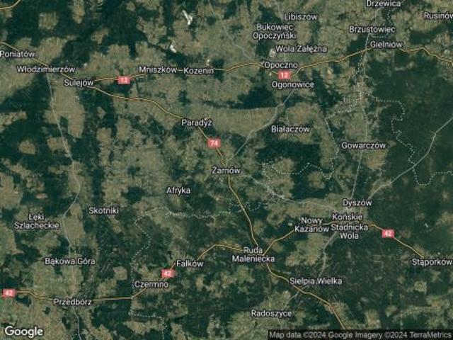 Grunt na sprzedaż w Żarnów, Łódzkie