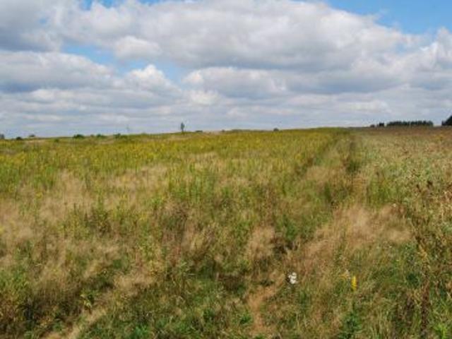 Grunt na sprzedaż w Baranów, Lubelskie