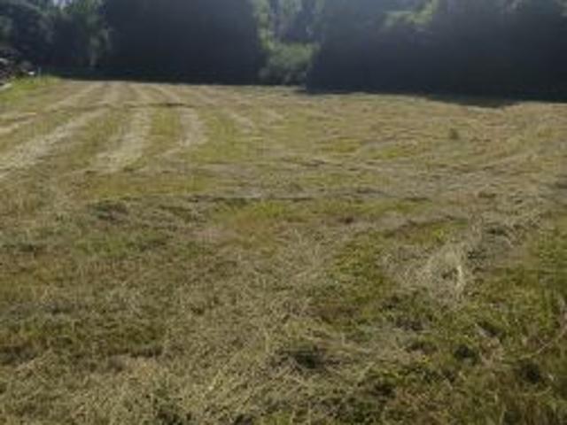 Grunt na sprzedaż w Wola Filipowska, Małopolskie