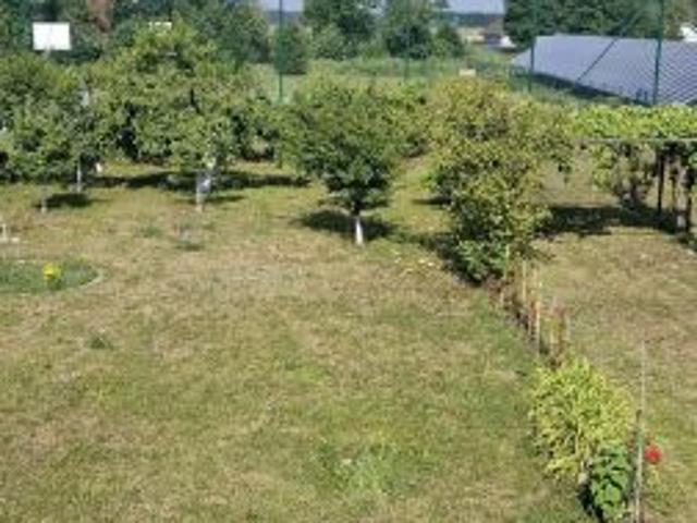 Grunt na sprzedaż w Białołęka, Dolnośląskie