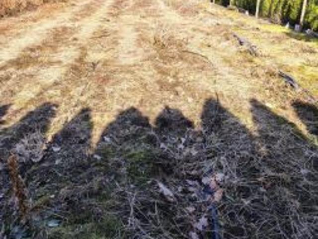 Grunt na sprzedaż w Zabłudów, Podlaskie