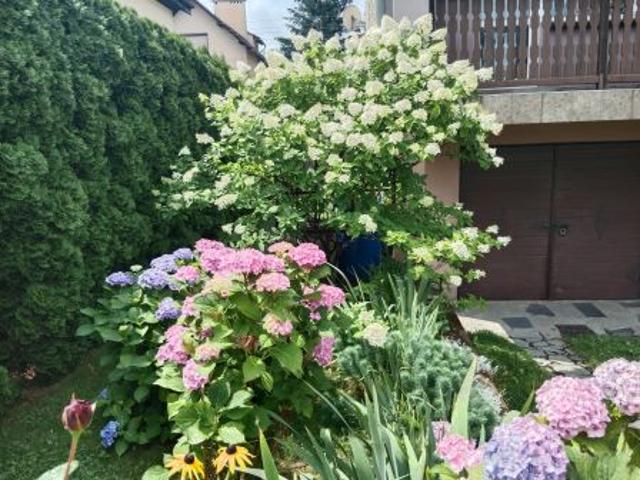 Mieszkanie na sprzedaż w Bielawa, Dolnośląskie