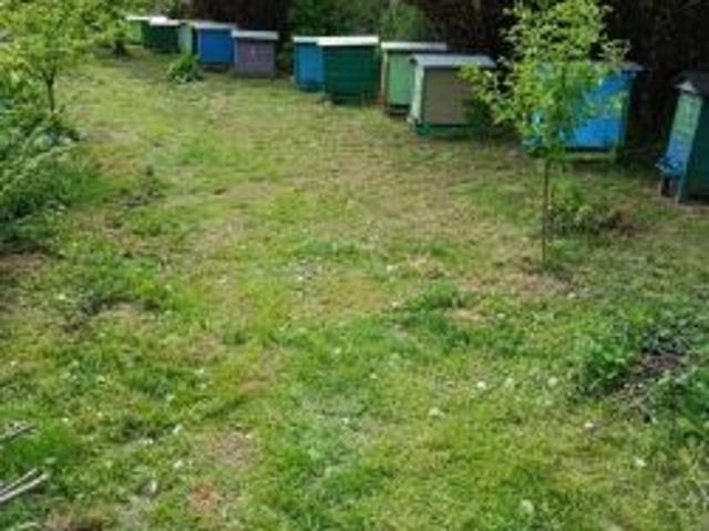 Grunt na sprzedaż w Biskupiec, Warmińsko-mazurskie