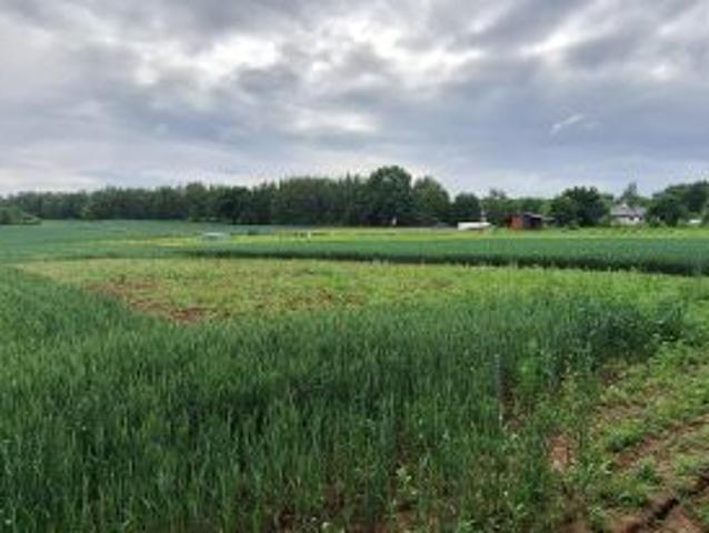 Grunt na sprzedaż w Bodzanów, Małopolskie