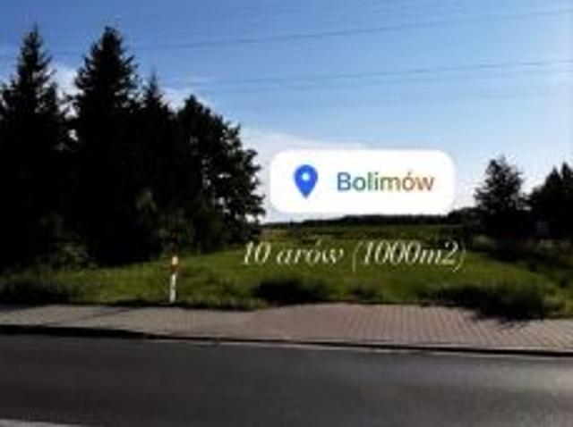 Grunt na sprzedaż w Bolimów, Łódzkie
