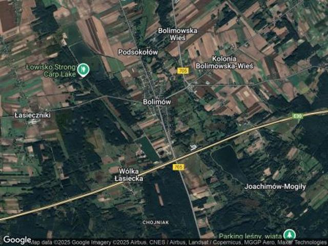 Dom na sprzedaż w Bolimów, Łódzkie