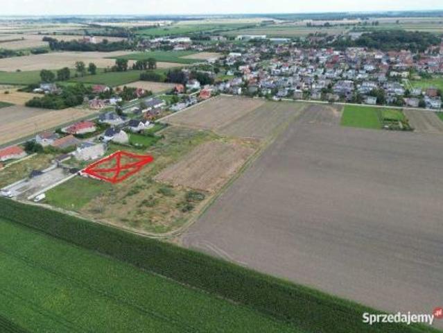 Grunt na sprzedaż w Borek Wielkopolski, Wielkopolskie
