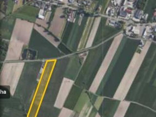 Grunt na sprzedaż w Borek Wielkopolski, Wielkopolskie