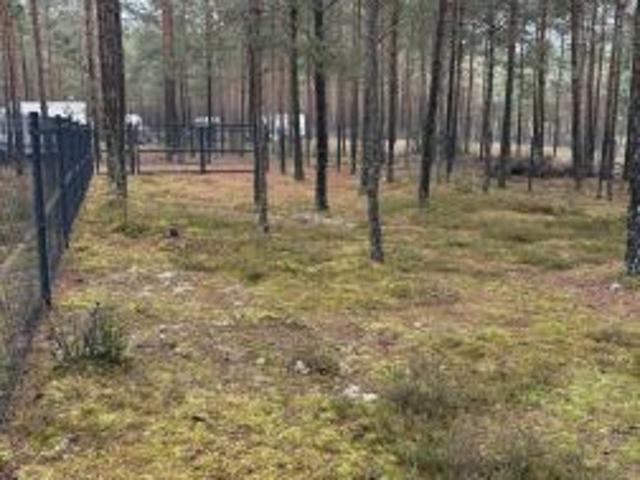 Grunt na sprzedaż w Borsk, Pomorskie