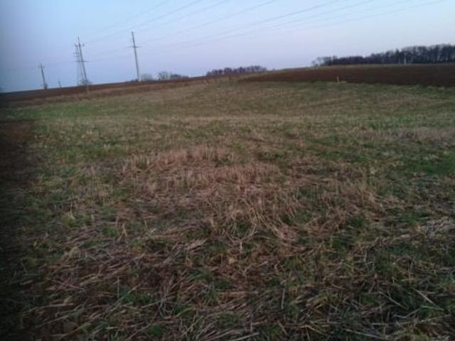 Grunt na sprzedaż w Brodnica, Kujawsko-pomorskie