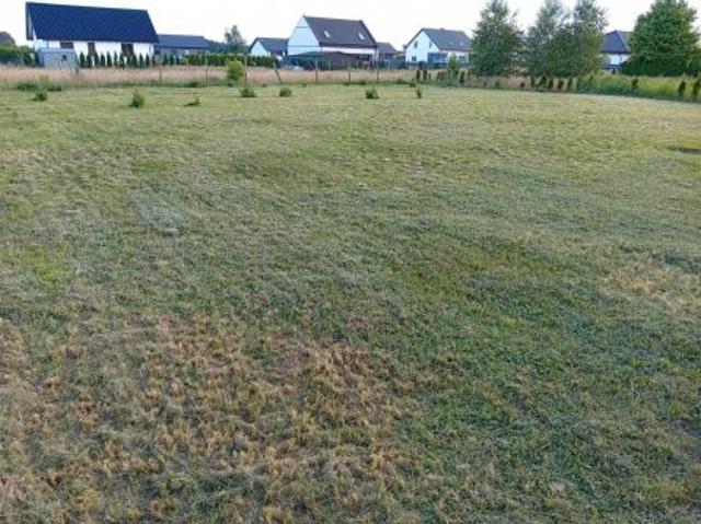 Grunt na sprzedaż w Brzeźno, Wielkopolskie