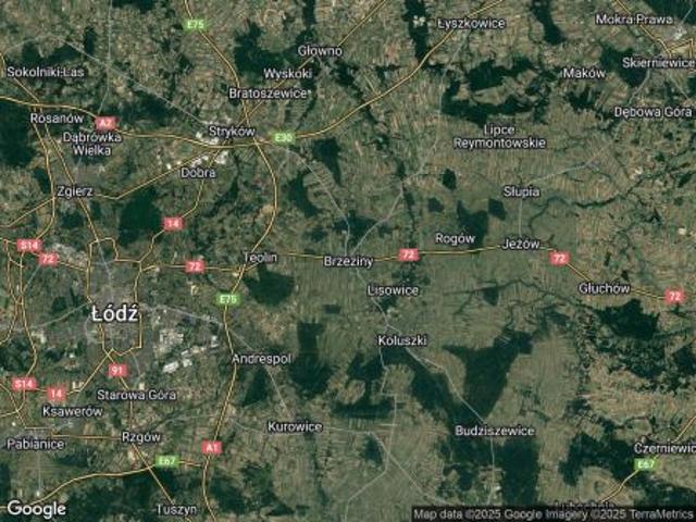 Dom na sprzedaż w Brzeziny