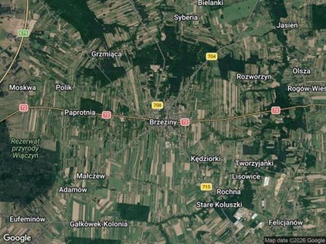 Grunt na sprzedaż w Brzeziny, Łódzkie