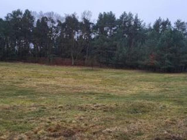 Grunt na sprzedaż w Bukowiec, Wielkopolskie