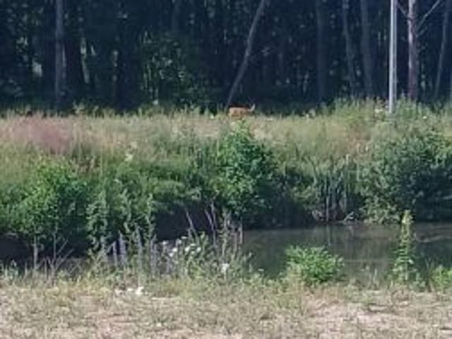 Grunt na sprzedaż w Bydgoszcz, Kujawsko-pomorskie