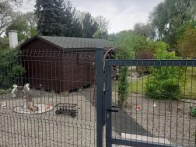 Grunt na sprzedaż w Chełmża, Kujawsko-pomorskie