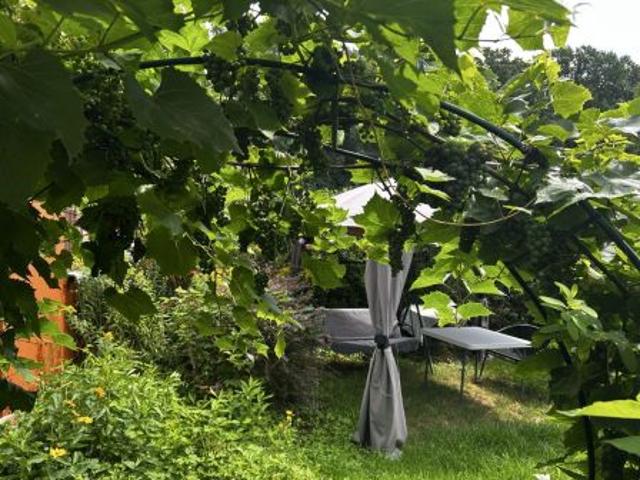 Grunt na sprzedaż w Chełmno, Kujawsko-pomorskie