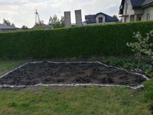Grunt na sprzedaż w Choceń, Kujawsko-pomorskie