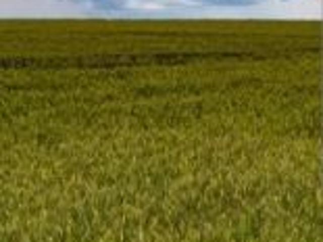 Grunt na sprzedaż w Choczewo, Pomorskie