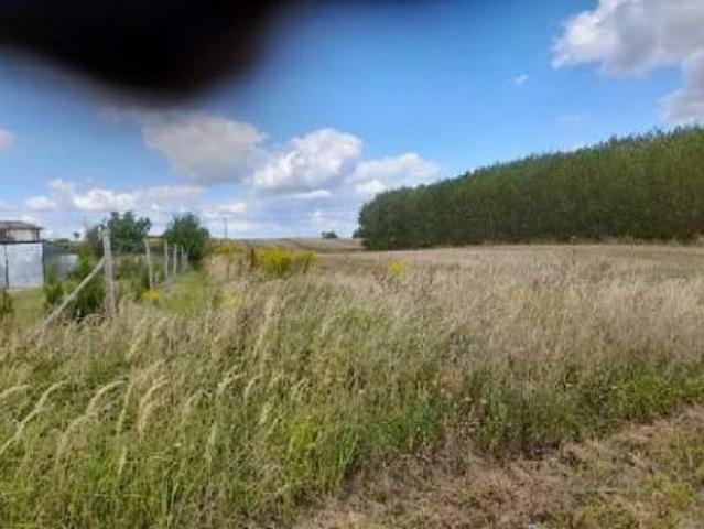 Grunt na sprzedaż w Choszczno, Zachodniopomorskie