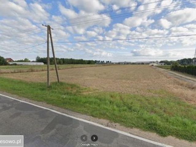 Grunt na sprzedaż w Chrzypsko Wielkie, Wielkopolskie