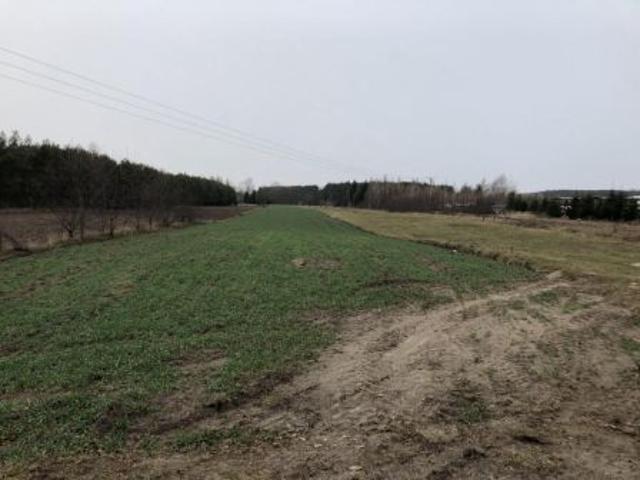 Grunt na sprzedaż w Ciechanowiec, Podlaskie
