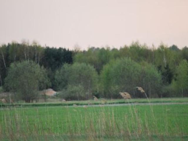 Grunt na sprzedaż w Cyganka, Mazowieckie