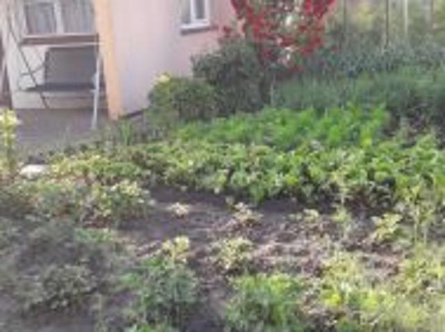 Grunt na sprzedaż w Pomorskie