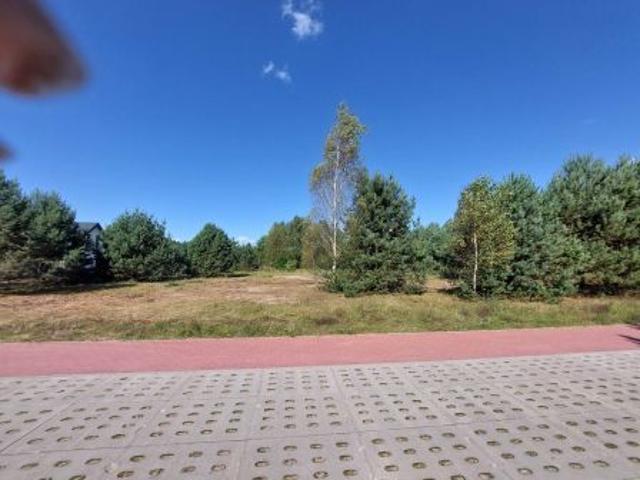 Grunt na sprzedaż w Czarna Woda, Pomorskie