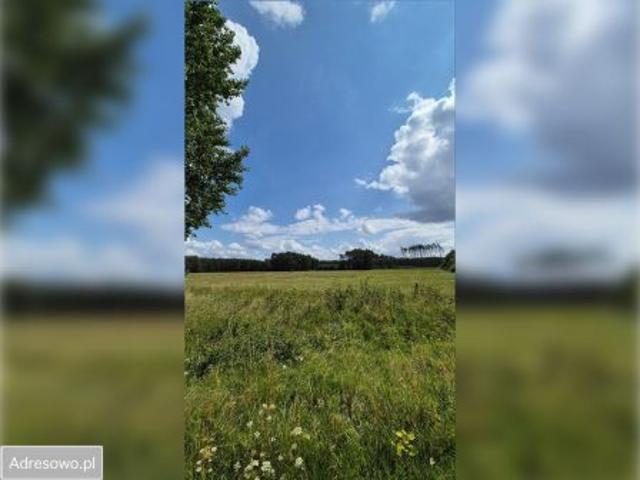 Grunt na sprzedaż w Czarne, Pomorskie