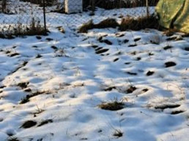 Grunt na sprzedaż w Czeladź, Śląskie