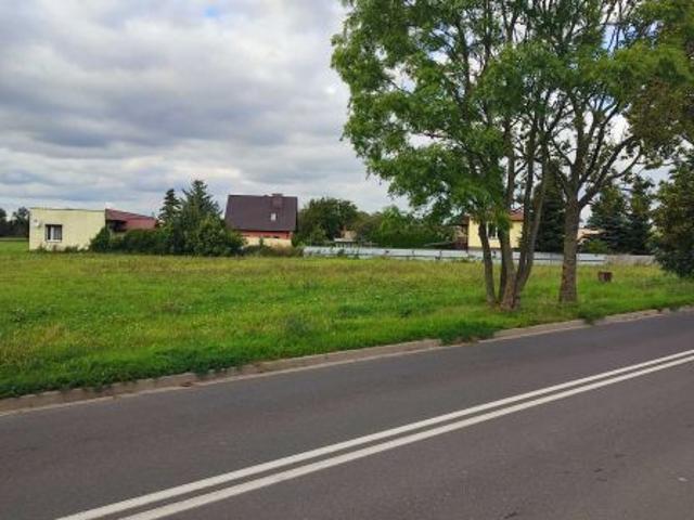 Grunt na sprzedaż w Czerlejno, Wielkopolskie