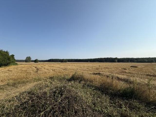 Grunt na sprzedaż w Czmoń, Wielkopolskie