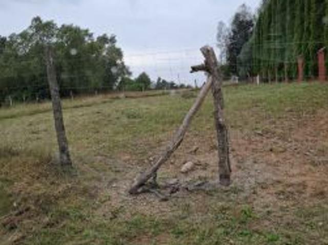 Grunt na sprzedaż w Dąbrowa Białostocka, Podlaskie