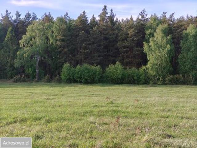Grunt na sprzedaż w Damnica, Pomorskie