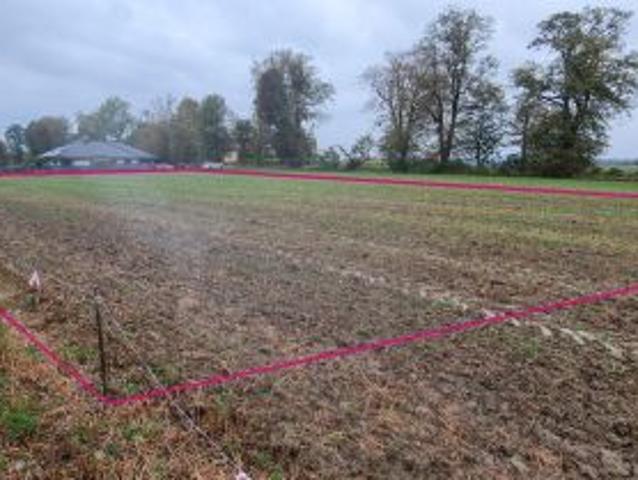 Grunt na sprzedaż w Dankowice, Śląskie