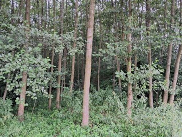 Grunt na sprzedaż w Dołhobyczów, Lubelskie